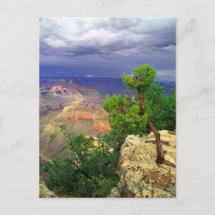 Grand Canyon National Park, Arizona, USA 3 Vykort