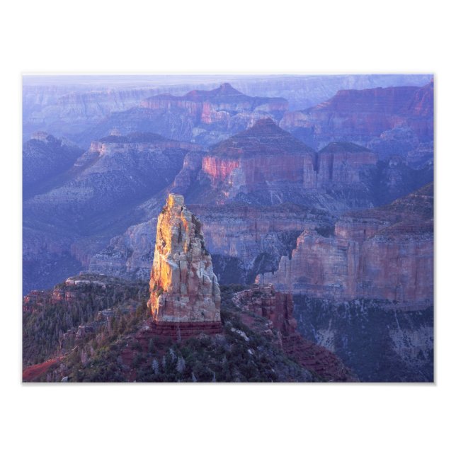 Grand Canyon National Park, Arizona, USA. Visa Fototryck (Framsidan)