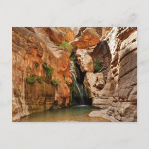 Grand Canyon National Park, Arizona Vykort