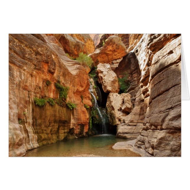 Grand Canyon nationalpark, Arizona Hälsningskort (Framsidan Horizontal)