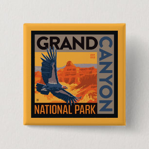 Grand Canyon nationalpark Condors Knapp