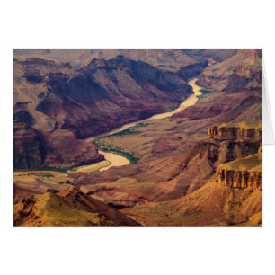 Grand Canyon nationalpark Hälsningskort