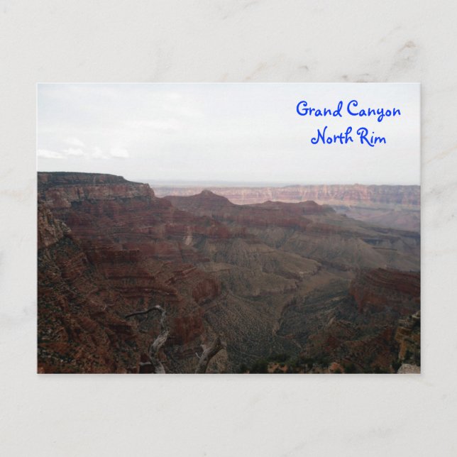 Grand Canyon North Rim-vykort Vykort (Framsida)