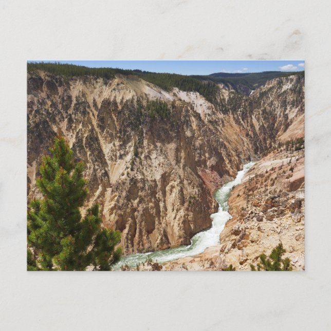 Grand Canyon of the Yellowstone Vykort (Framsida)