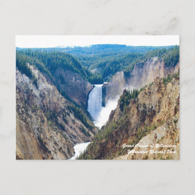 Grand Canyon of Yellowstone Postcard Vykort (Framsida)