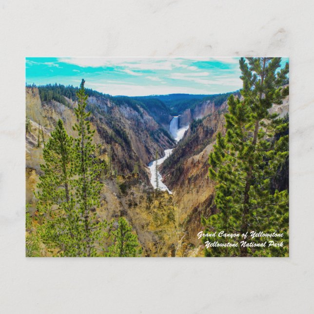 Grand Canyon of Yellowstone Postcard Vykort (Framsida)