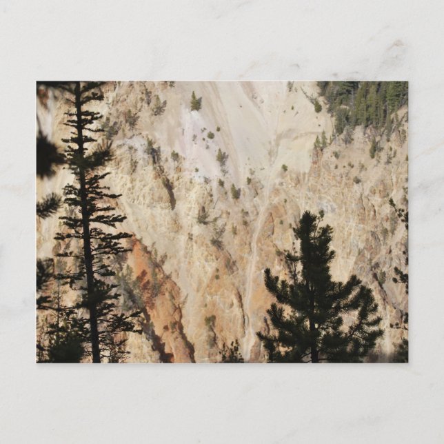 Grand Canyon of Yellowstone Vykort (Framsida)