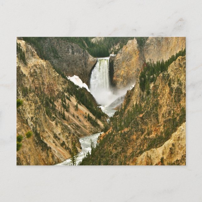 Grand Canyon of Yellowstone Vykort (Framsida)