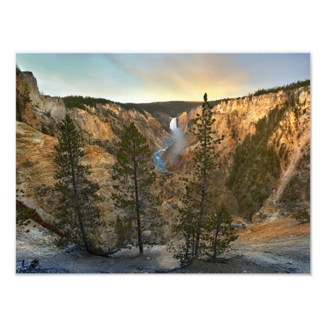 Grand Canyon of Yellowstone, Yellowstone Fototryck (Framsidan)