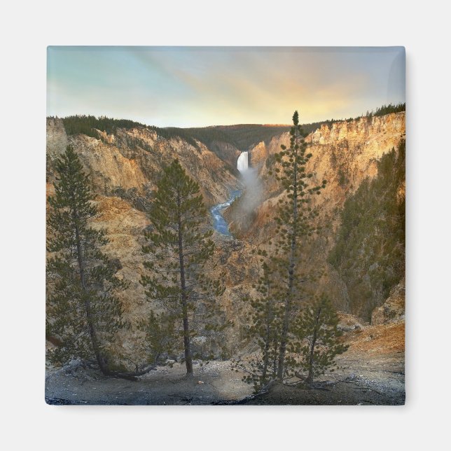 Grand Canyon of Yellowstone, Yellowstone Magnet (Framsidan)