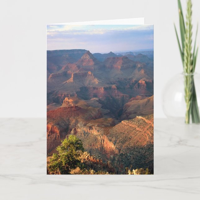 Grand Canyon på solnedgången Kort (Framsida)