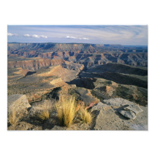 Grand Canyon-Parashant National Monument, 2 Fototryck