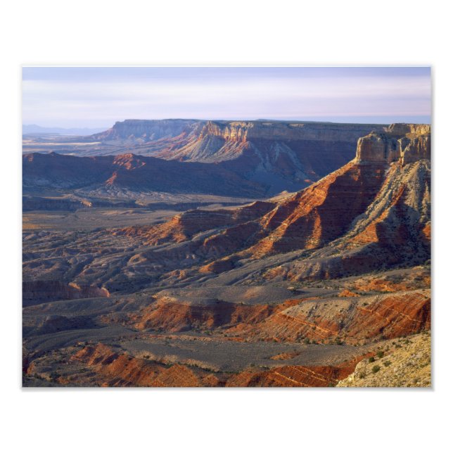 Grand Canyon-Parashant National Monument Fototryck (Framsidan)