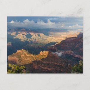 Grand Canyon South Rim från Powell Point Vykort