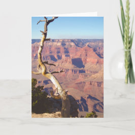 Grand Canyon South Rim Greeting Card Kort