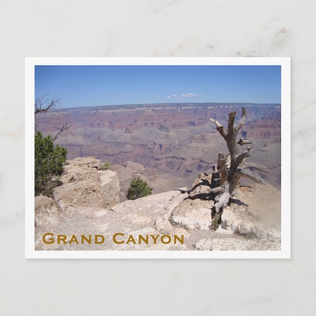 Grand Canyon, South Rim Vykort (Framsida)