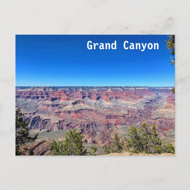 Grand Canyon South Rim Vykort (Framsida)