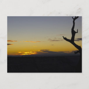 Grand Canyon Sunset-vykort Vykort