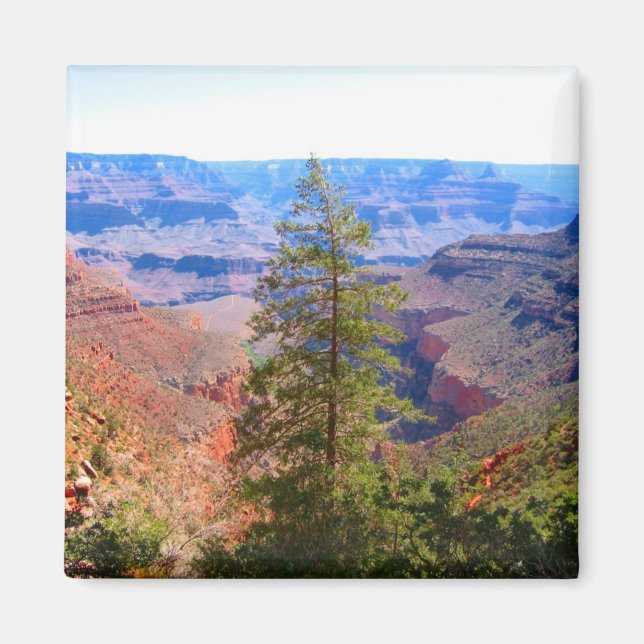 grand canyon träd magnet (Framsidan)