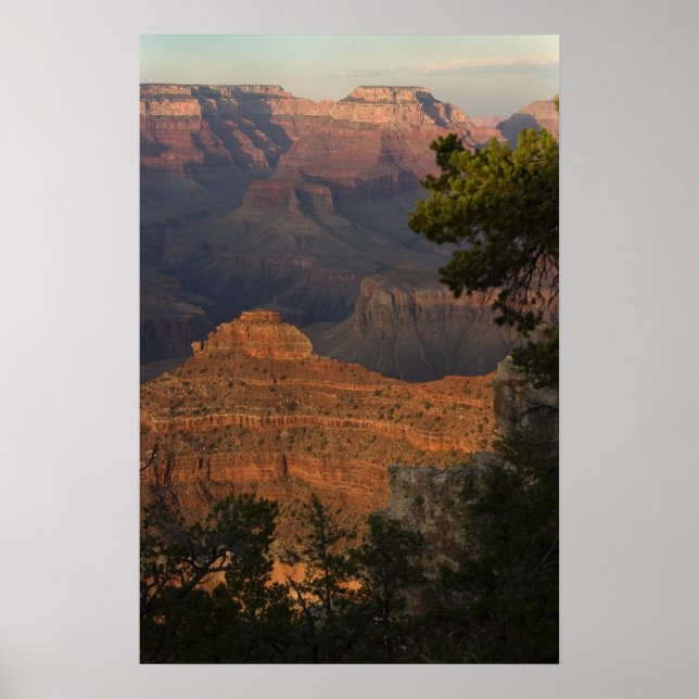 Grand Canyon View Poster (Framsidan)