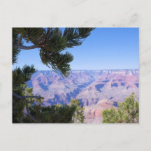 Grand Canyon - Visa genom Gräs - vykort