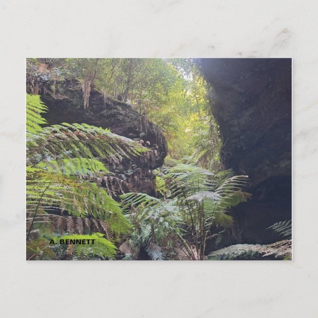 Grand Canyon Vykort (Framsida)