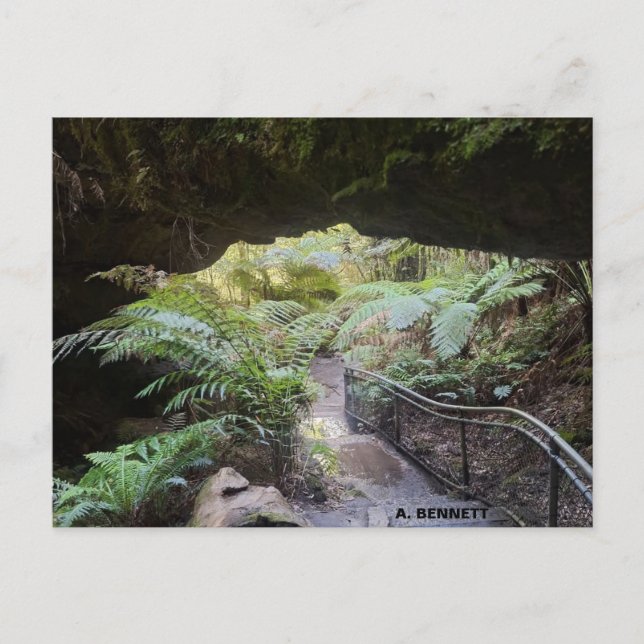 Grand Canyon Vykort (Framsida)