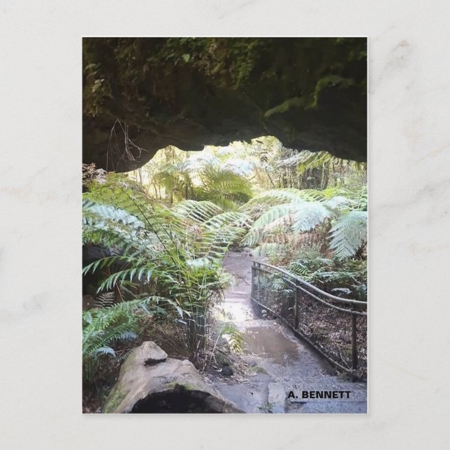 Grand Canyon Vykort (Framsida)