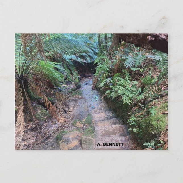 Grand Canyon Vykort (Framsida)