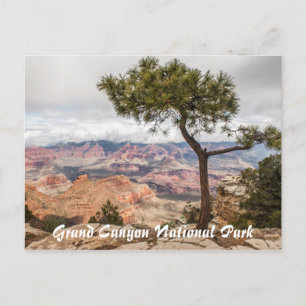Grand Canyon Vykort