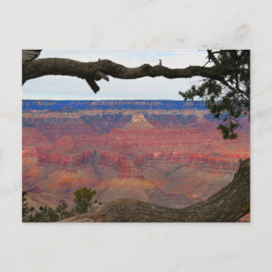 Grand Canyon Vykort