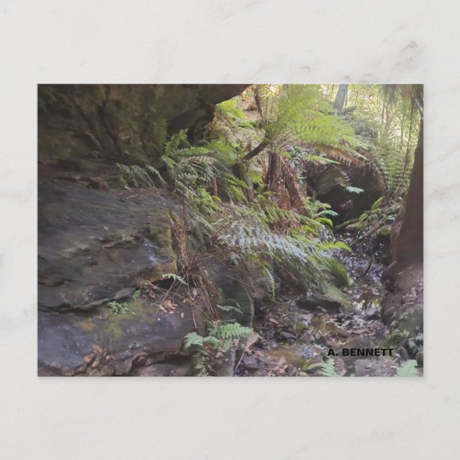 Grand Canyon Vykort (Framsida)