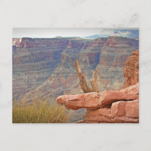 Grand Canyon Vykort