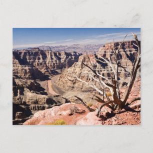 Grand Canyon Vykort