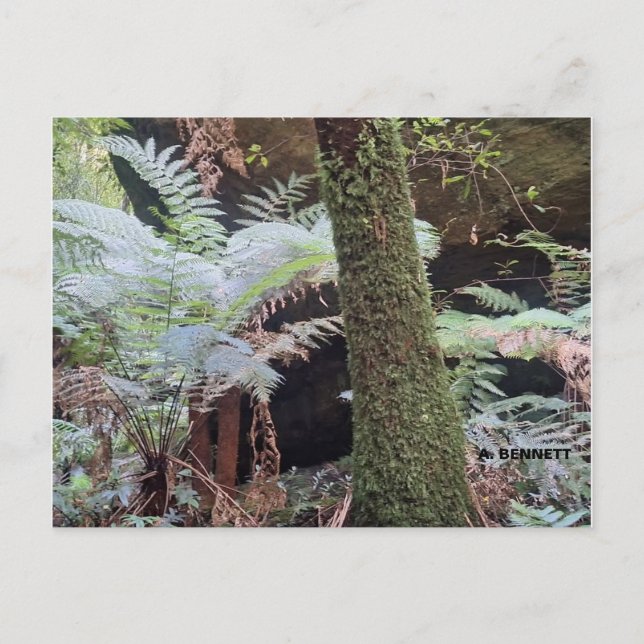 Grand Canyon Vykort (Framsida)