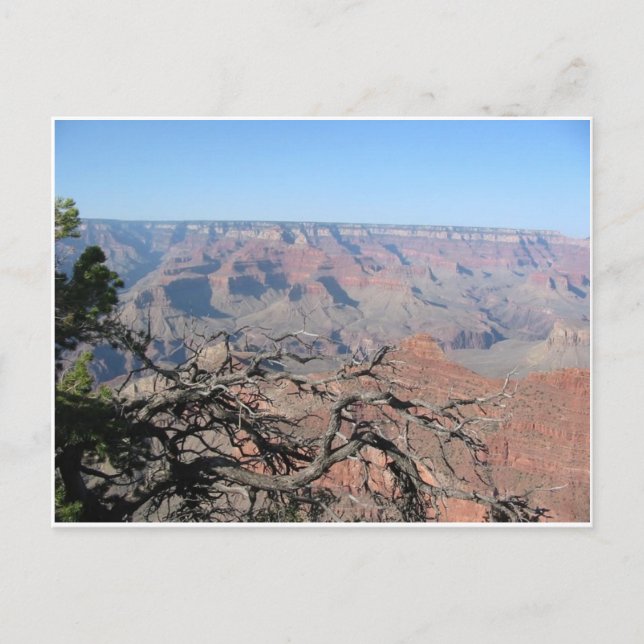 Grand Canyon-vykort 3 Vykort (Framsida)