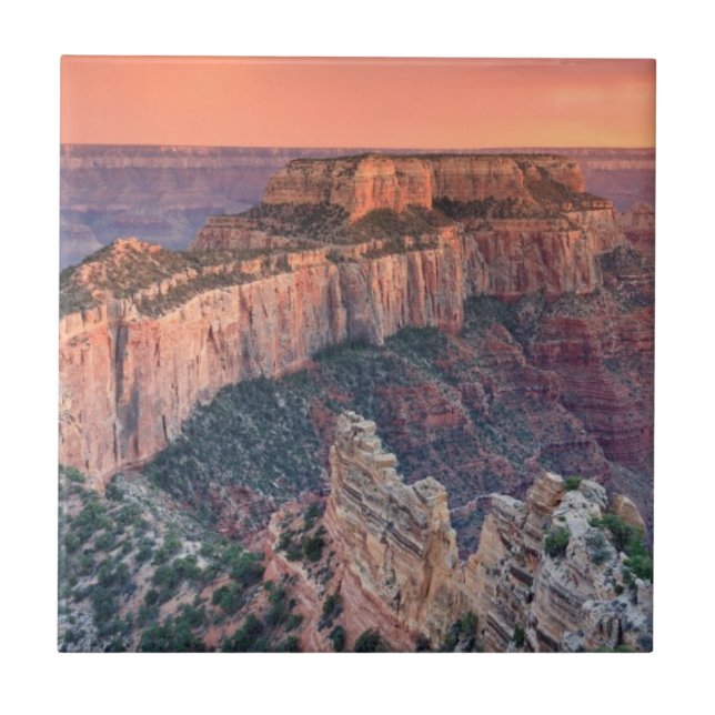 Grand Canyonnationalpark, Arizona Kakelplatta (Framsidan)
