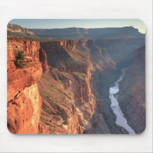 Grand Canyonnationalpark, USA Musmatta