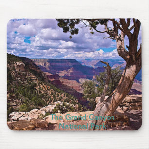 Grand Canyonnationalparkmusen vadderar Musmatta