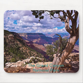 Grand Canyonnationalparkmusen vadderar Musmatta