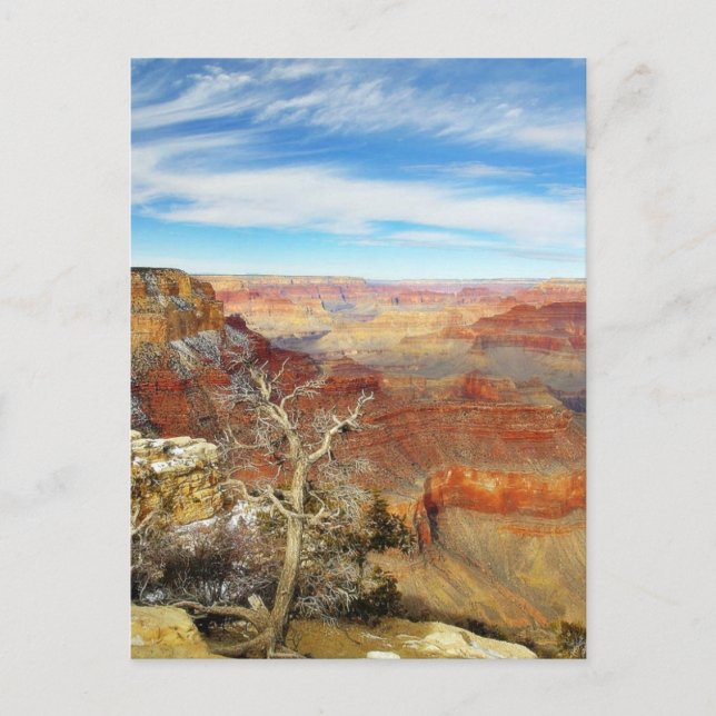 Grand Canyons Arizona Vykort (Framsida)