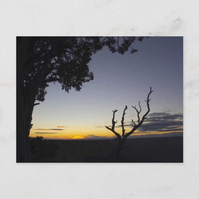 Grand Canyonsolnedgångvykort 3 Vykort (Framsida)