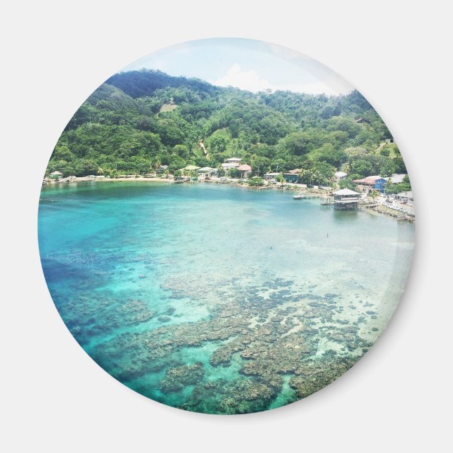 Grand Cayman Coral Reef Magnet (Framsidan)