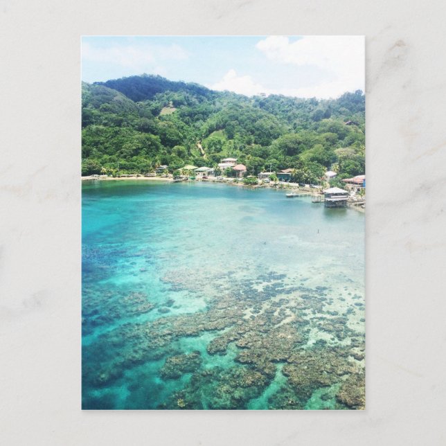 Grand Cayman Coral Reef Vykort (Framsida)