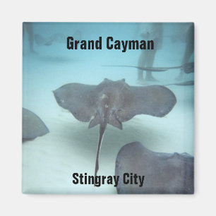 Grand Cayman magnet