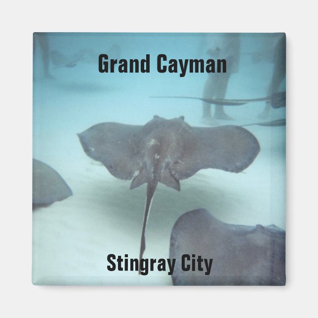 Grand Cayman magnet (Framsidan)