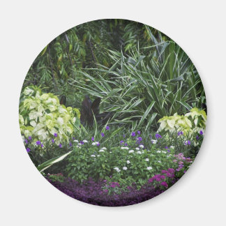 Grand Cayman-öarna Magnet