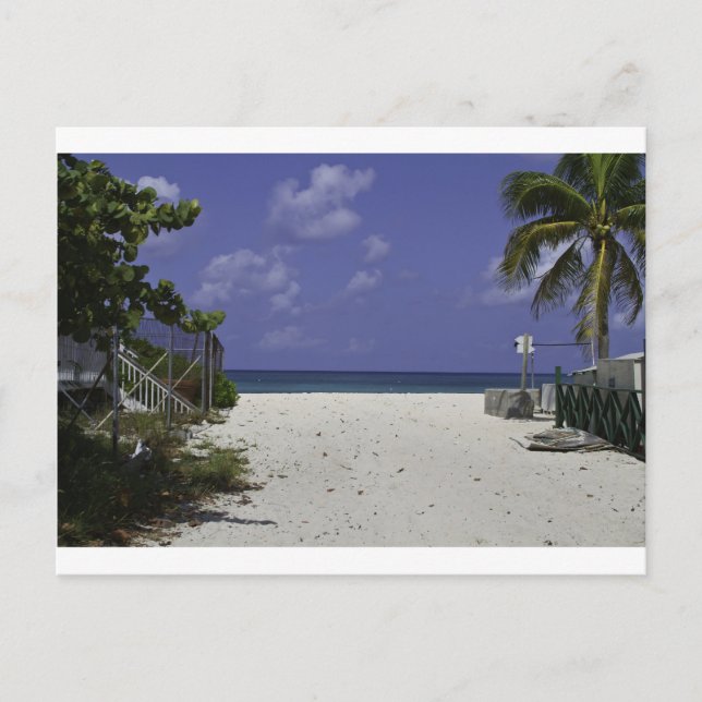 Grand Cayman-öarna Vykort (Framsida)