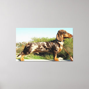 Grand Dachshund Canvastryck