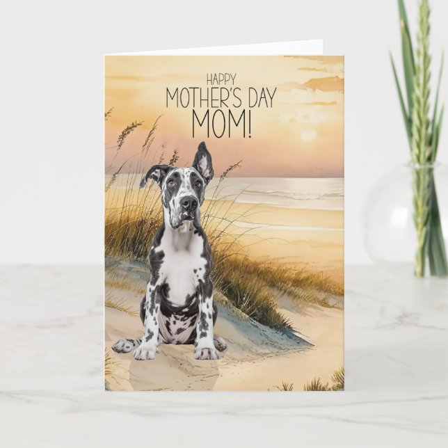 Grand Danois Hund Solnedgång Strand Mors Dag Helgkort (Framsida)